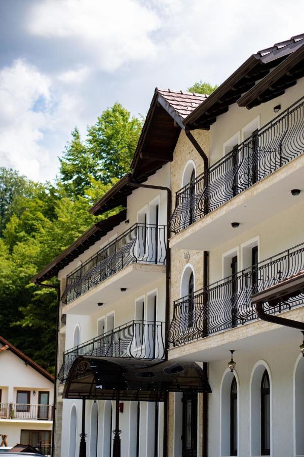 Hotel Perla Dacilor à Gradistea de Munte Extérieur photo